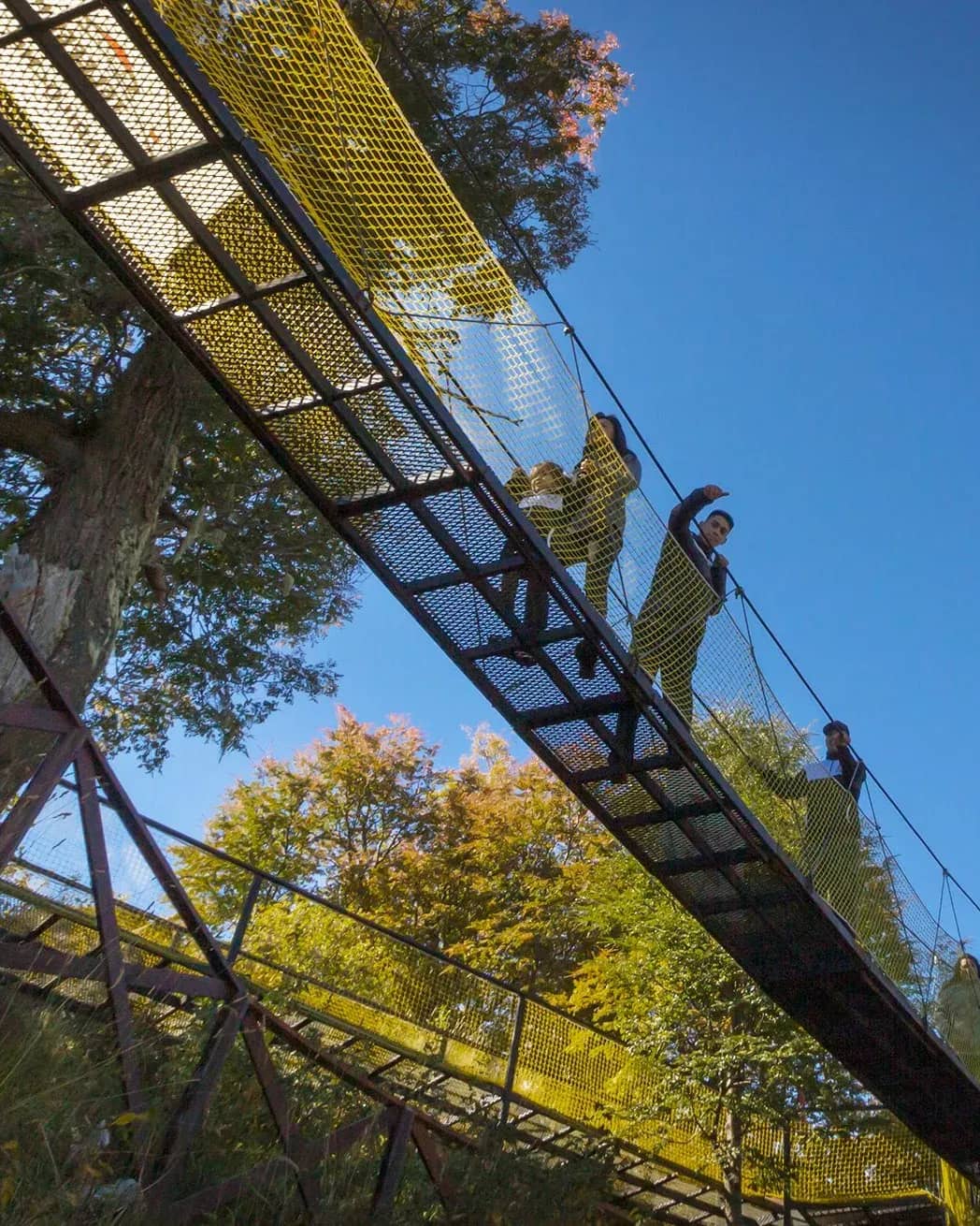 Vista desde abajo del puente colgante con personas saludando en un dia soleado con arboles de fondo y un cielo despejado